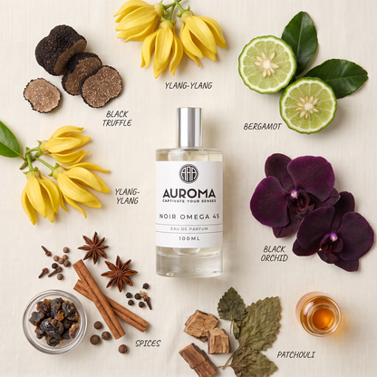 Noir Omega 45 scent notes